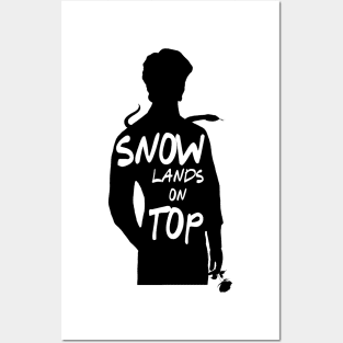 Snow lands on top Posters and Art